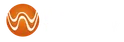 Wang Technology