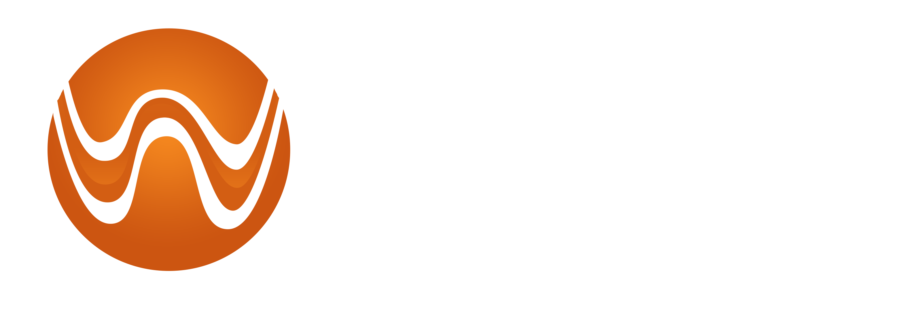 Wang Technology